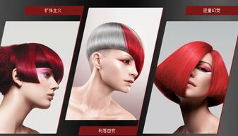沙宣美发加盟优势 沙宣加盟优势有哪些