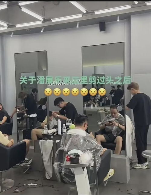 潘展乐带火上海理发店,理发店从生意冷清到天天爆满,老板好开心